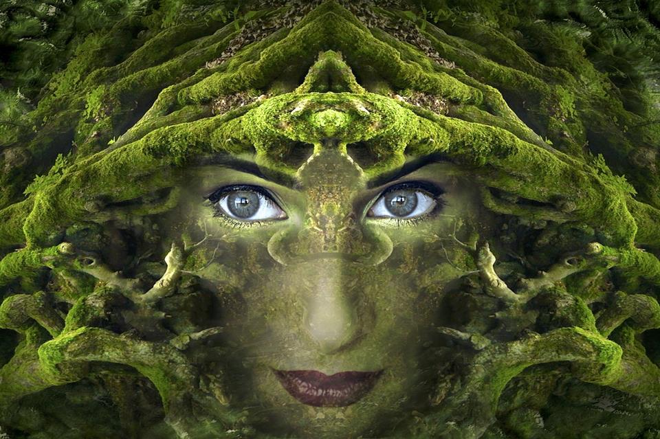 Forest Woman jigsaw puzzle